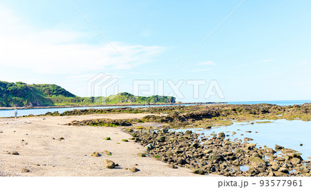 湘南 湘南 93577961