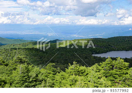 夏の北八ヶ岳　『高見石』山頂からの風景　白駒池を望む 93577992