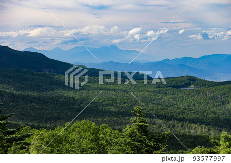 夏の北八ヶ岳　『高見石』山頂からの風景　雨池と上越の山々を望む 93577997