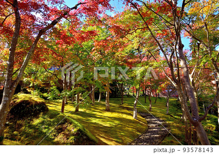 箱根美術館紅葉 93578143