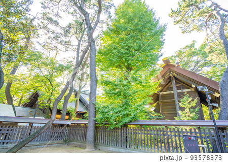 意富比神社(船橋大神宮)拝殿 本殿 意富比神社(船橋大神宮)拝殿 本殿 93578373