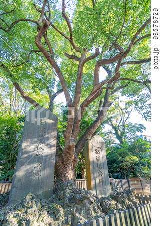 意富比神社(船橋大神宮)日露戦役記念碑 意富比神社(船橋大神宮)日露戦役記念碑 93578729