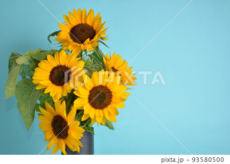 夏に映える花瓶のミニひまわり 93580500