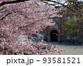 海外の古い建築物を背景に咲く桜 93581521