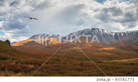 Dramatic golden light and shadow on the rock in autumn steppe. H Dramatic golden light and shadow on the rock in autumn steppe. H 93581773