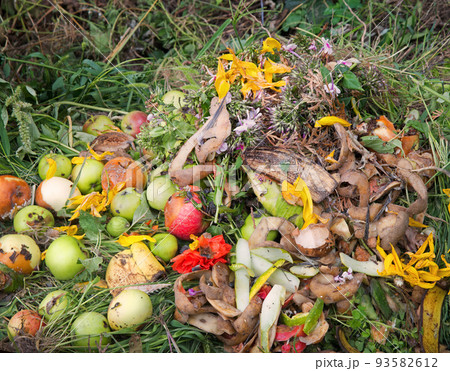 Compost heap in the garden 93582612