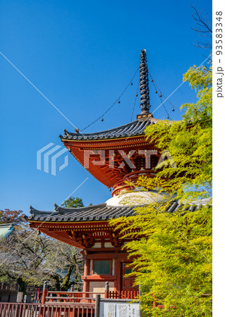 川越大師 喜多院 多宝塔 川越大師 喜多院 多宝塔 93583348