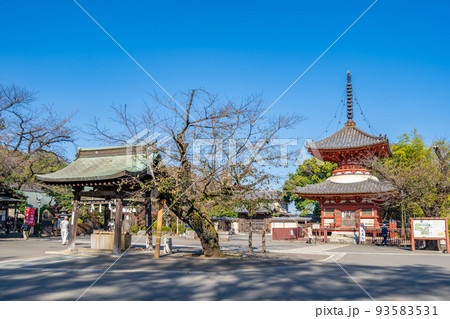 川越大師　喜多院　水屋　多宝塔 93583531