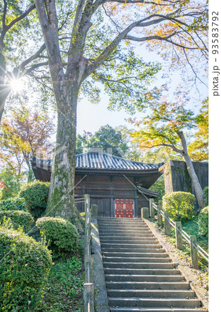 川越大師　喜多院　慈眼堂　光芒 93583792