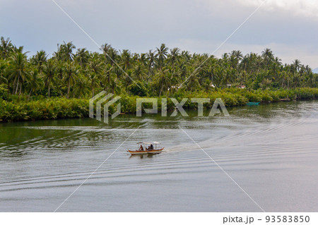 フィリピン、ボホール島のニッパヤシの前を通るボート 93583850