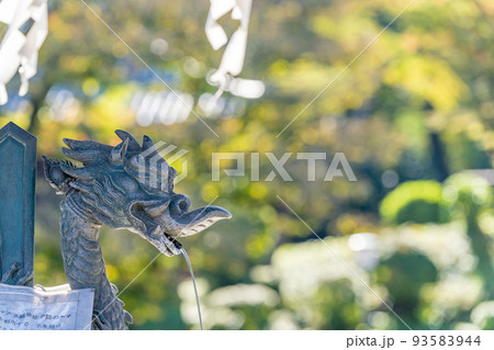 川越大師 喜多院 水屋 龍 川越大師 喜多院 水屋 龍 93583944