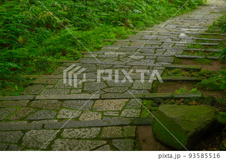 山奥の参道　石段　神社への道 93585516