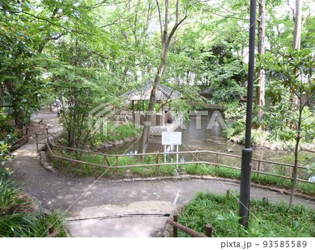 おとめ山公園　　（東京都新宿区） 93585589