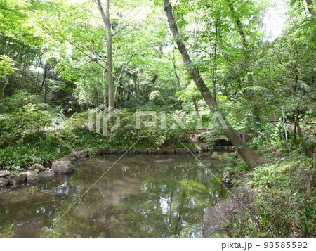 おとめ山公園　　（東京都新宿区） 93585592