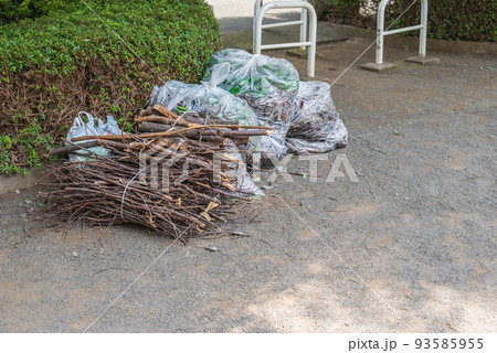 公園の落ち葉と剪定枝 93585955