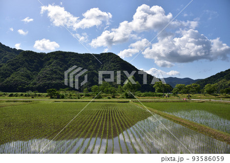 青空と田園風景 青空と田園風景 93586059