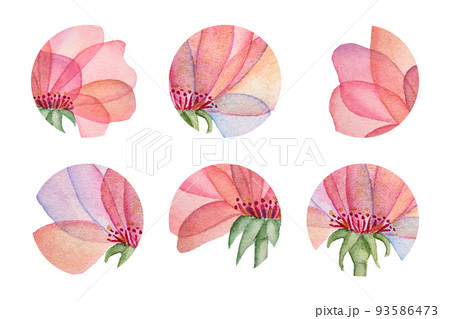 Round watercolor stickers set. Elegant watercolor flower on a long stem. Pink and blue flower with transparent petals 93586473