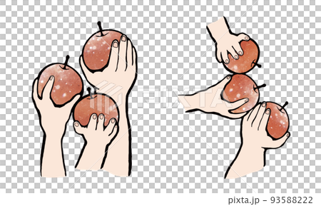 Hand holding an apple / Hand holding an apple together 93588222