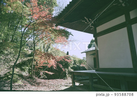 犬山寂光院秋の散策 犬山寂光院秋の散策 93588708