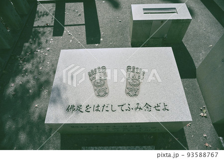 犬山寂光院秋の散策 93588767