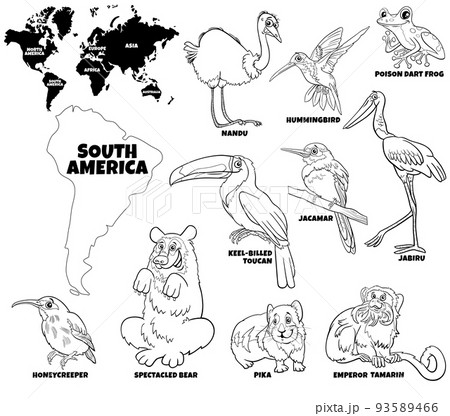 cartoon South American animal species set coloring page cartoon South American animal species set coloring page 93589466
