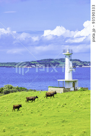 加部島杉ノ原牧場（佐賀県唐津市呼子町）アクリル原画 加部島杉ノ原牧場（佐賀県唐津市呼子町）アクリル原画 - 絵画
