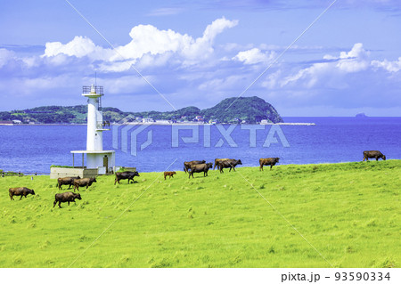 加部島の素晴らしい絶景 杉ノ原放牧場（佐賀県唐津市呼子町）の写真素材 [93590334] - PIXTA