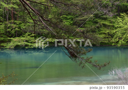 東北 福島 裏磐梯 五色沼 自然 散策路 コース 磐梯山 高原 レイク リゾート 噴火 湖沼 東北 福島 裏磐梯 五色沼 自然 散策路 コース 磐梯山 高原 レイク リゾート 噴火 湖沼 93590355