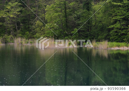 東北 福島 裏磐梯 五色沼 自然 散策路 コース 磐梯山 高原 レイク リゾート 噴火 湖沼 東北 福島 裏磐梯 五色沼 自然 散策路 コース 磐梯山 高原 レイク リゾート 噴火 湖沼 93590366