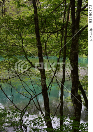 東北 福島 裏磐梯 五色沼 自然 散策路 コース 磐梯山 高原 レイク リゾート 噴火 湖沼 東北 福島 裏磐梯 五色沼 自然 散策路 コース 磐梯山 高原 レイク リゾート 噴火 湖沼 93590372