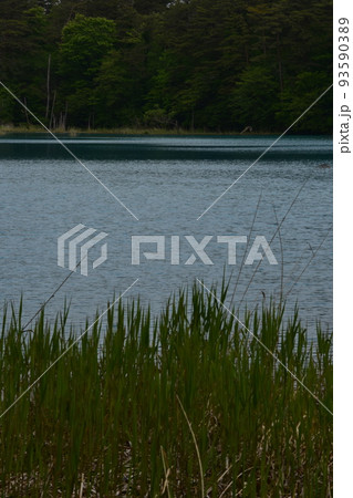 東北　福島　裏磐梯　五色沼　自然　散策路　コース　磐梯山　高原　レイク　リゾート　噴火　湖沼 93590389