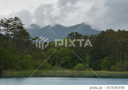 東北　福島　裏磐梯　五色沼　自然　散策路　コース　磐梯山　高原　レイク　リゾート　噴火　湖沼 93590390