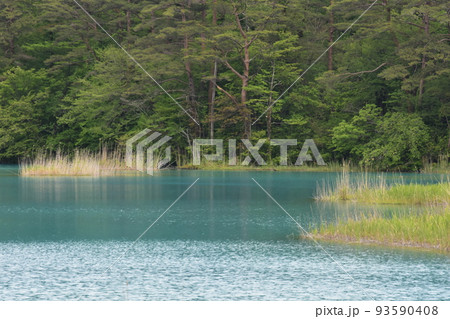 東北　福島　裏磐梯　五色沼　自然　散策路　コース　磐梯山　高原　レイク　リゾート　噴火　湖沼 93590408