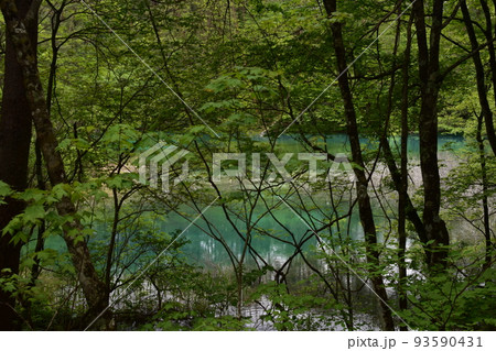 東北 福島 裏磐梯 五色沼 自然 散策路 コース 磐梯山 高原 レイク リゾート 噴火 湖沼 東北 福島 裏磐梯 五色沼 自然 散策路 コース 磐梯山 高原 レイク リゾート 噴火 湖沼 93590431