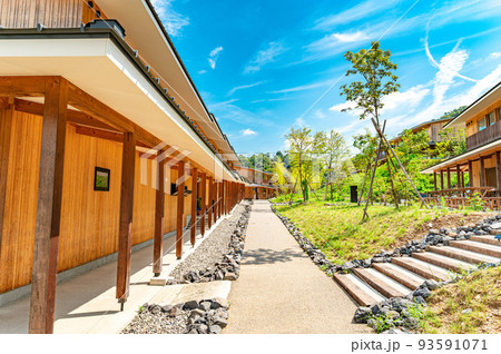 夏のVISON 93591071