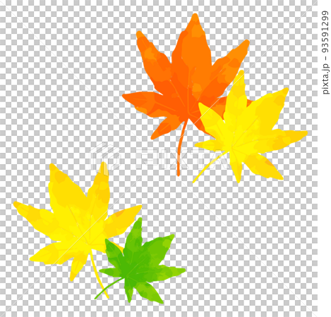 楓葉水彩風格手繪插畫 93591299