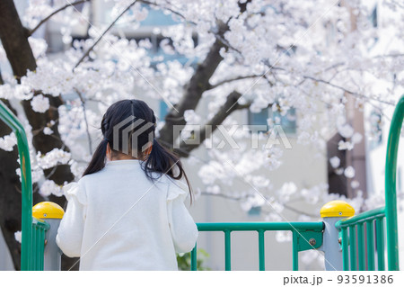 桜　子供 93591386