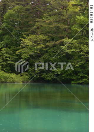 東北　福島　裏磐梯　五色沼　自然　散策路　コース　磐梯山　高原　レイク　リゾート　噴火　湖沼　 93591491