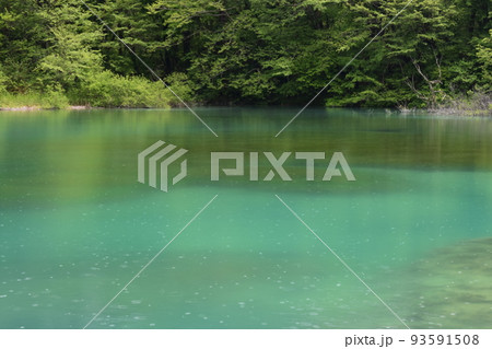 東北　福島　裏磐梯　五色沼　自然　散策路　コース　磐梯山　高原　レイク　リゾート　噴火　湖沼　 93591508