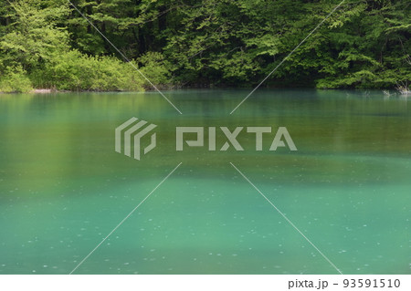 東北 福島 裏磐梯 五色沼 自然 散策路 コース 磐梯山 高原 レイク リゾート 噴火 湖沼 東北 福島 裏磐梯 五色沼 自然 散策路 コース 磐梯山 高原 レイク リゾート 噴火 湖沼 93591510