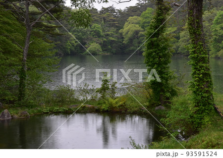 東北　福島　裏磐梯　五色沼　自然　散策路　コース　磐梯山　高原　レイク　リゾート　噴火　湖沼　 93591524