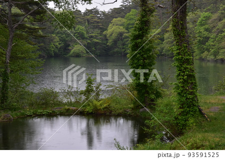 東北 福島 裏磐梯 五色沼 自然 散策路 コース 磐梯山 高原 レイク リゾート 噴火 湖沼 東北 福島 裏磐梯 五色沼 自然 散策路 コース 磐梯山 高原 レイク リゾート 噴火 湖沼 93591525