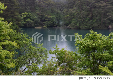 東北 福島 裏磐梯 五色沼 自然 散策路 コース 磐梯山 高原 レイク リゾート 噴火 湖沼 東北 福島 裏磐梯 五色沼 自然 散策路 コース 磐梯山 高原 レイク リゾート 噴火 湖沼 93591545