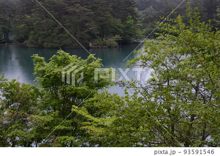 東北 福島 裏磐梯 五色沼 自然 散策路 コース 磐梯山 高原 レイク リゾート 噴火 湖沼 東北 福島 裏磐梯 五色沼 自然 散策路 コース 磐梯山 高原 レイク リゾート 噴火 湖沼 93591546
