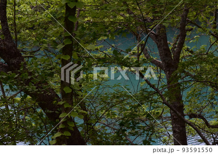 東北　福島　裏磐梯　五色沼　自然　散策路　コース　磐梯山　高原　レイク　リゾート　噴火　湖沼　 93591550
