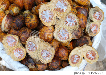 ripe and dry betel nut stock 93592223