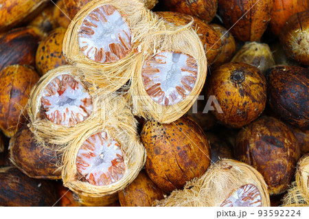 ripe and dry betel nut stock ripe and dry betel nut stock 93592224
