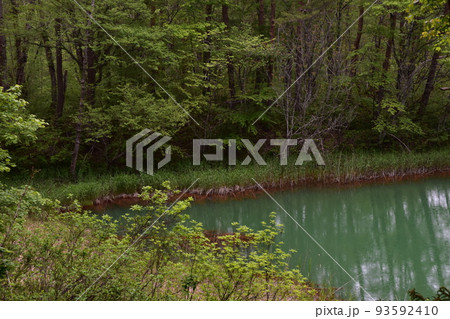東北 福島 裏磐梯 五色沼 自然 散策路 コース 磐梯山 高原 レイク リゾート 噴火 湖沼 東北 福島 裏磐梯 五色沼 自然 散策路 コース 磐梯山 高原 レイク リゾート 噴火 湖沼 93592410