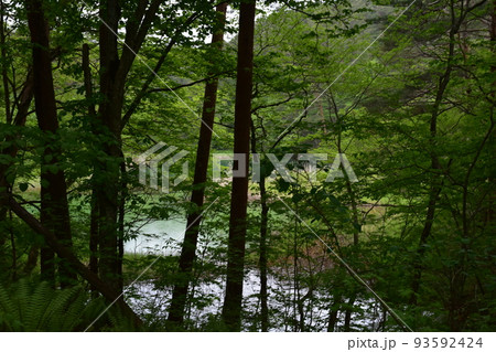 東北 福島 裏磐梯 五色沼 自然 散策路 コース 磐梯山 高原 レイク リゾート 噴火 湖沼 東北 福島 裏磐梯 五色沼 自然 散策路 コース 磐梯山 高原 レイク リゾート 噴火 湖沼 93592424