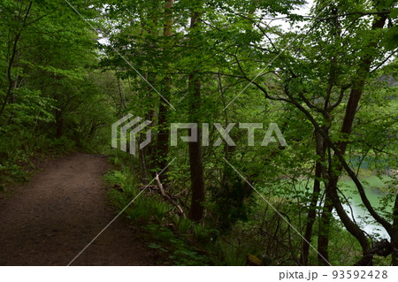 東北 福島 裏磐梯 五色沼 自然 散策路 コース 磐梯山 高原 レイク リゾート 噴火 湖沼 東北 福島 裏磐梯 五色沼 自然 散策路 コース 磐梯山 高原 レイク リゾート 噴火 湖沼 93592428